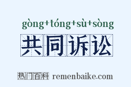 共同诉讼是什么意思的图片
